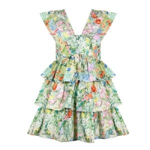 Hunter Bell Pamela Garden Party Floral Dress Sz 2 NWT